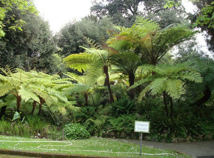 Orto Botanico di Napoli, Naples, Italy, Italy